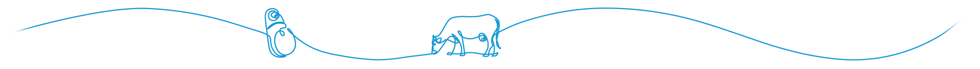 Abstract line drawing of a cow in a continuous blue line.