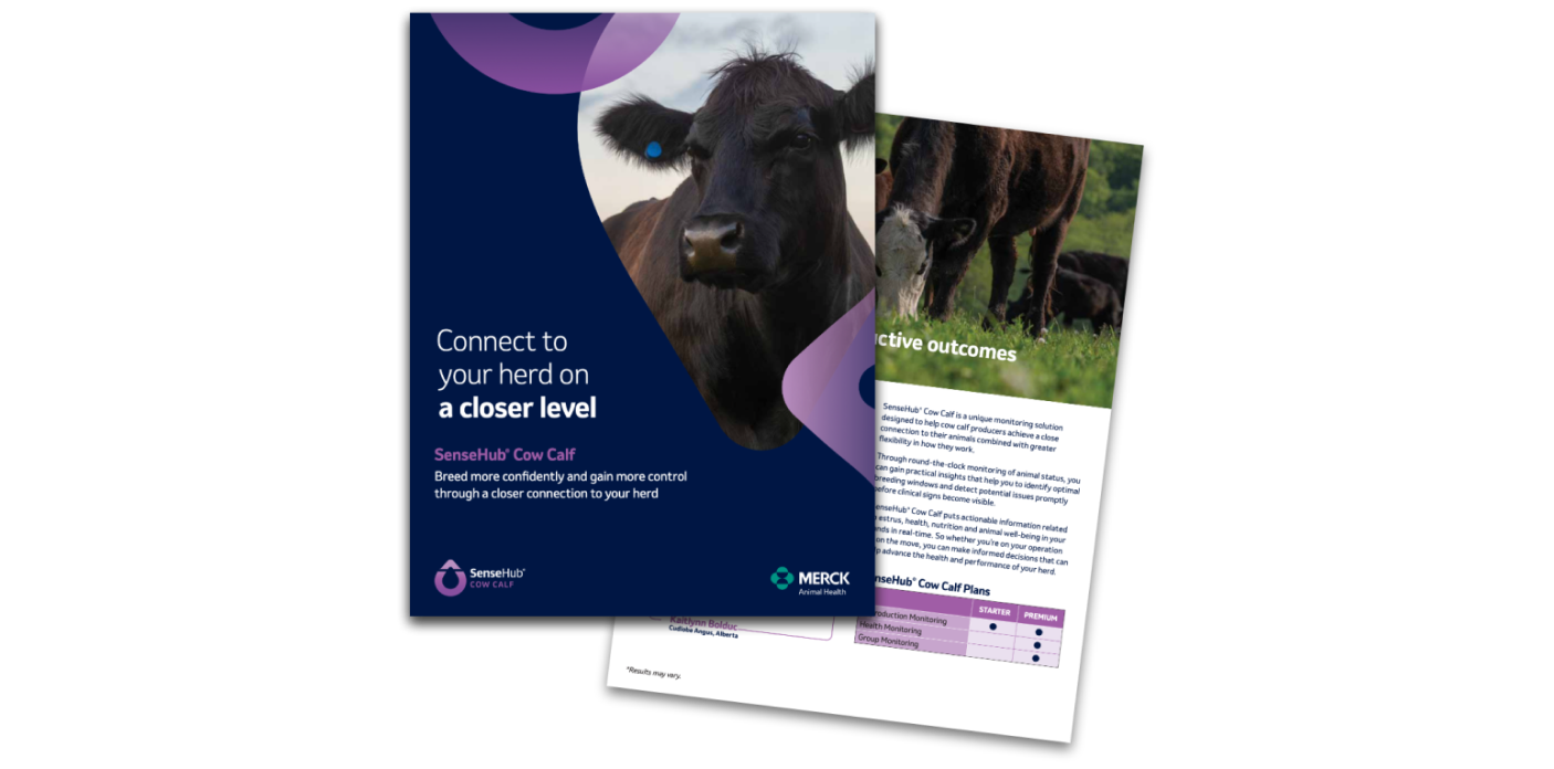 SenseHub® Cow Calf brochure showing the two sides of the brochure