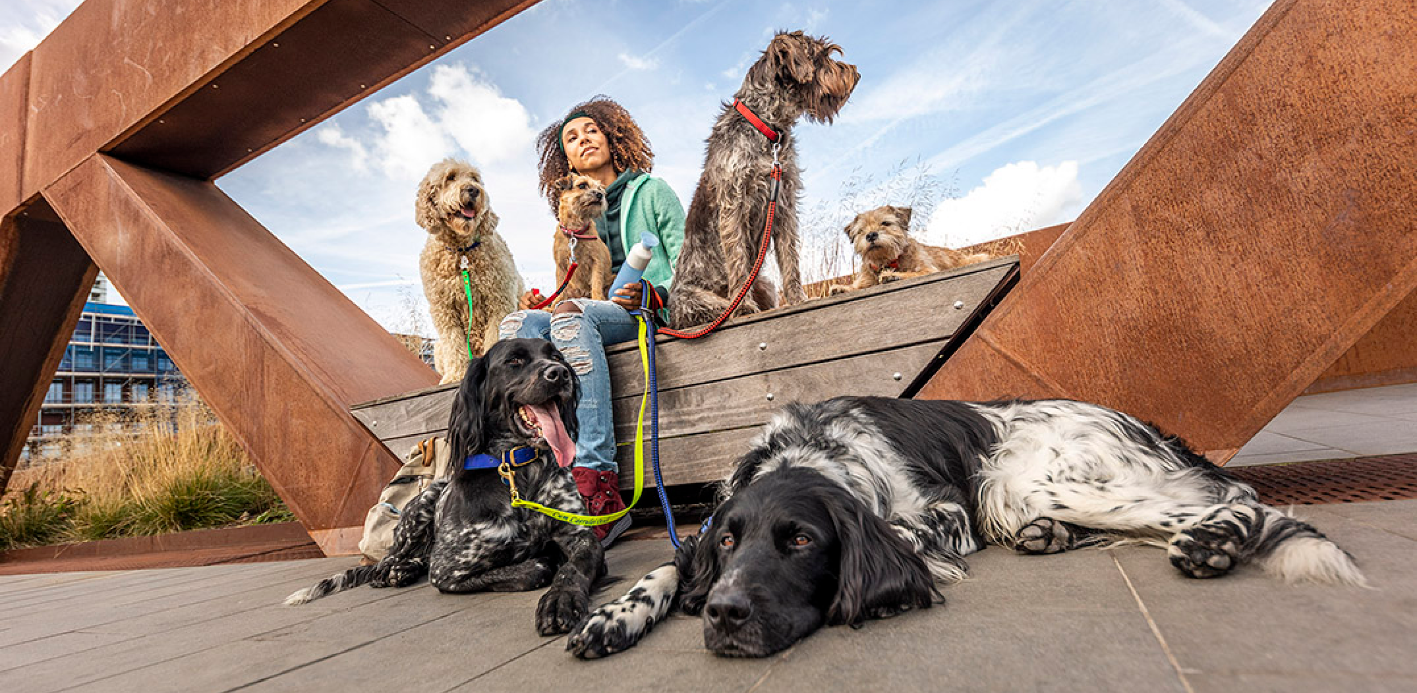 Woman sitting outdoors with multiple dogs on leashes in an urban park setting
