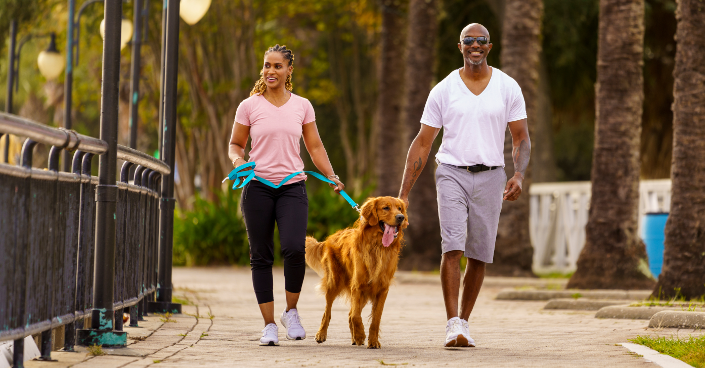 Couple walking Golden Retriever on palm-lined path