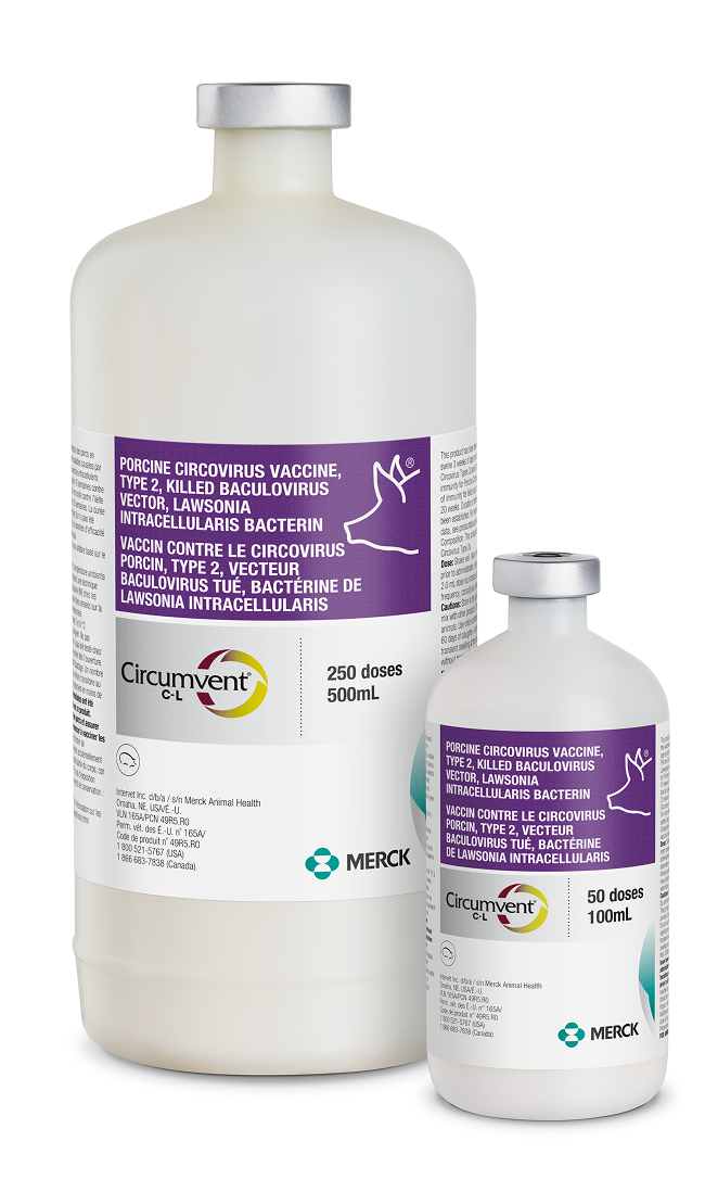 Circumvent-packshot
