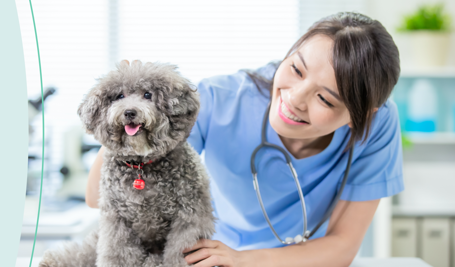 About us Merck Animal Health Canada