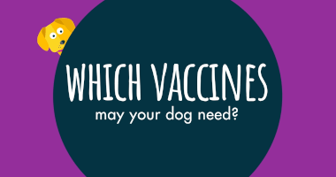 WHICH VACCINES may protect your dog need