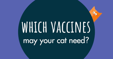 WHICH VACCINES may your cat need