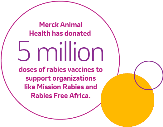 Merck Animal Health has donated 5 million doses of rabies vaccines to support organizations like Mission Rabies and Rabies Free Africa.