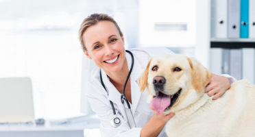 Female veterinarian and happy dog