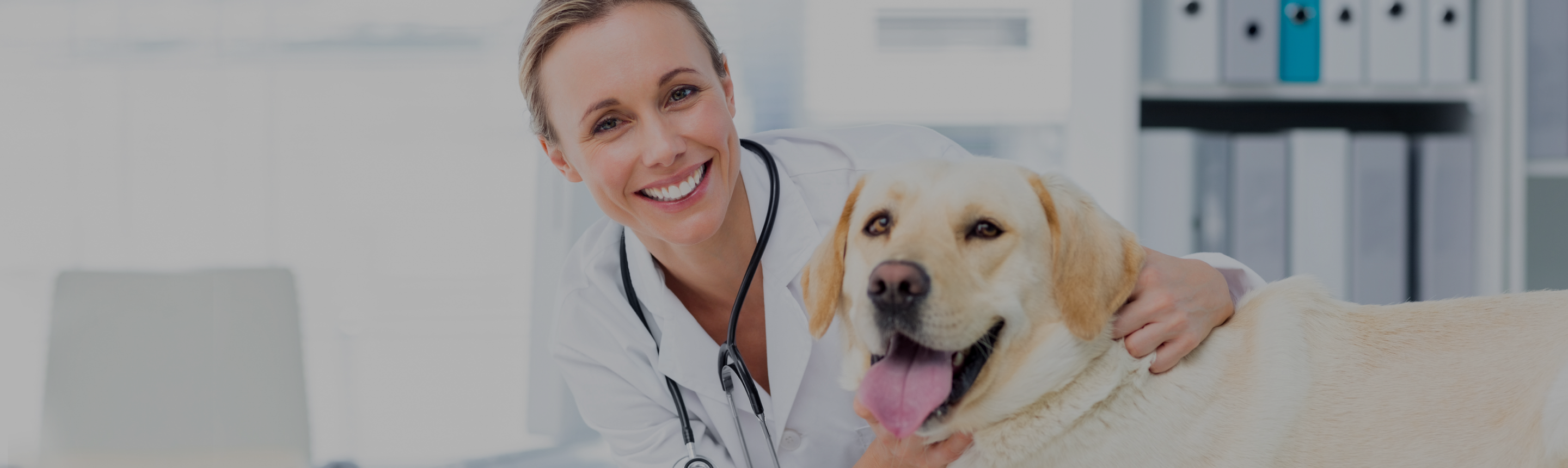 Female veterinarian and happy dog