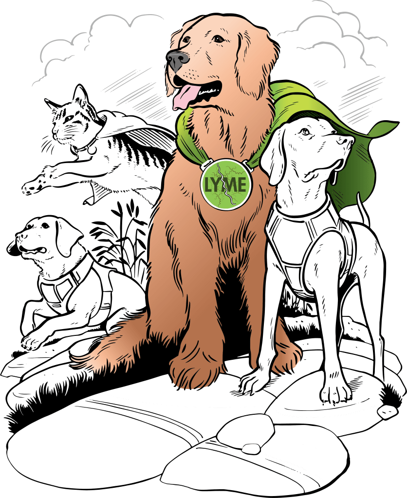 Illustration of superhero dogs and cats, united in a mission to combat Lyme disease.