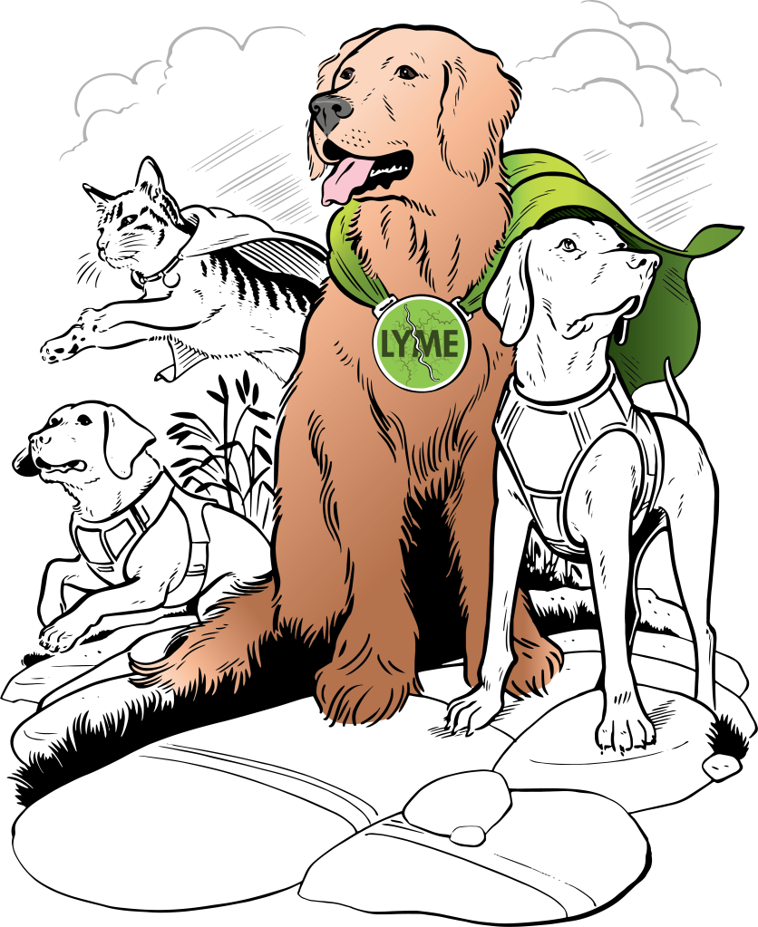 Illustration of superhero dogs and cats, united in a mission to combat Lyme disease.