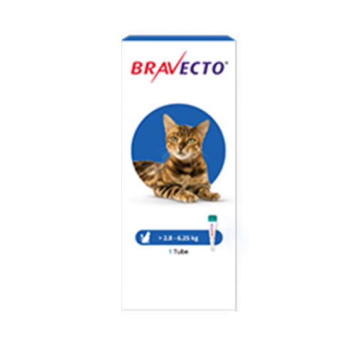 Bravecto Topical Solution for Cats Product