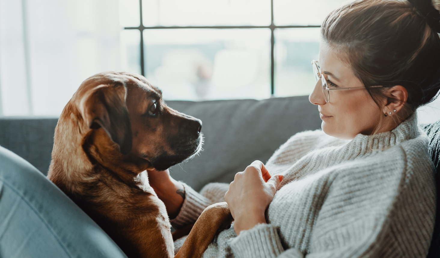 A woman reclines on the couch, sharing a tender gaze with her loyal dog, a bond of companionship and love captured in a single moment.