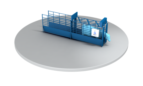 Illustration of a dairy cow in a squeeze chute to gently hold cattle in place to reduce stress