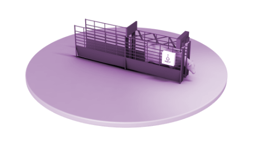 Illustration of a dairy cow in a squeeze chute to gently hold cattle in place to reduce stress