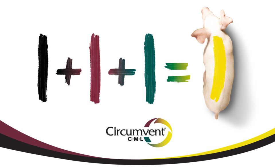 1+1+1=1 Circumvent C-M-L 3 in 1