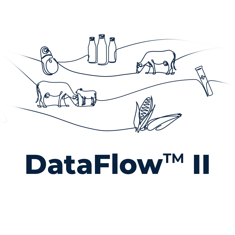 DataFlow II logo