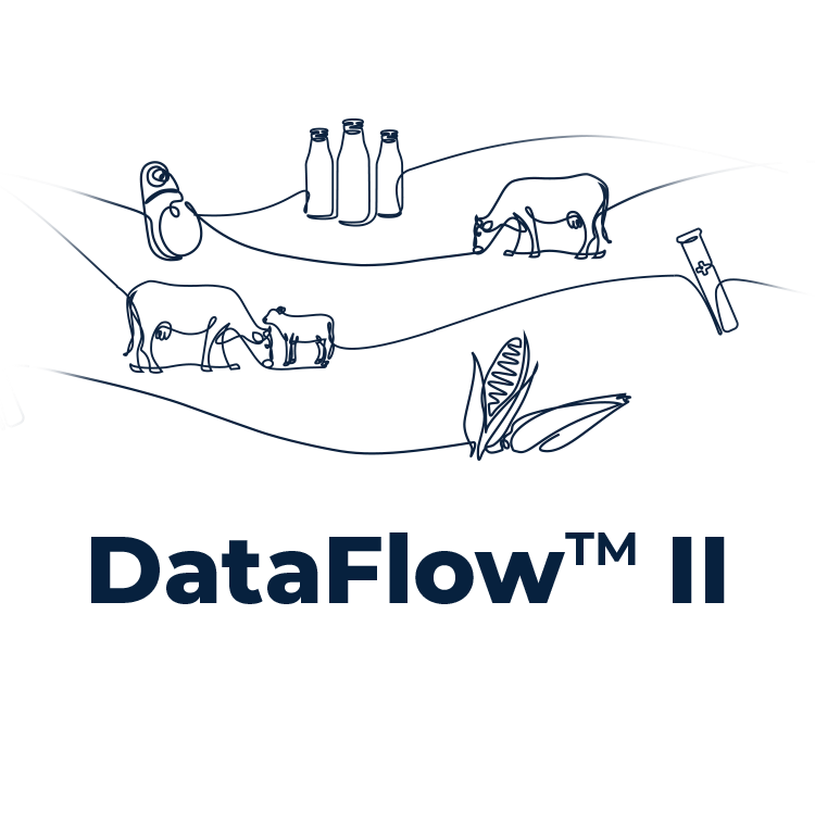 DataFlow logo