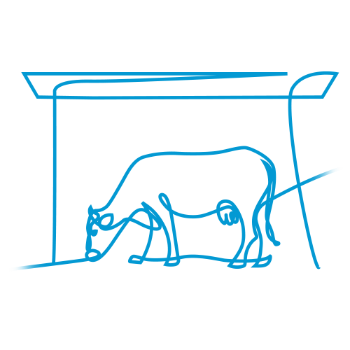 Dairy cow in a gate line art illustration