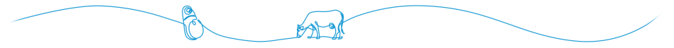 Dairy cow and DataFlow product line art illustration