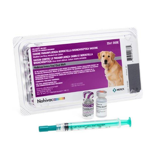 Packaging of nobivac intra-trac oral bbpi and syringe.