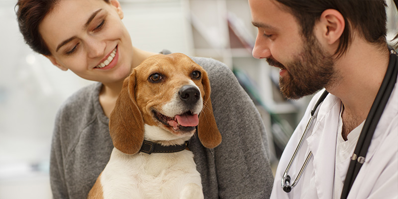 A woman and her dog visiting the veterinarian.