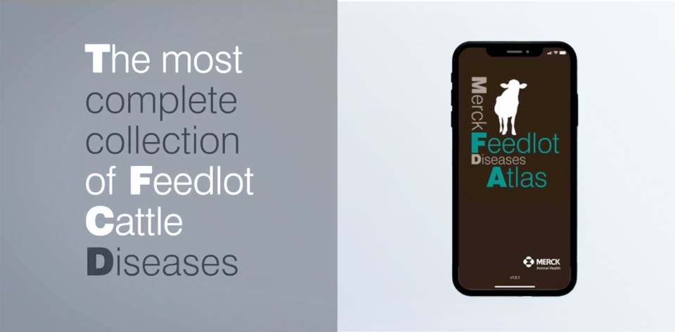 A phone displaying the Feedlot Diseases Atlas.
