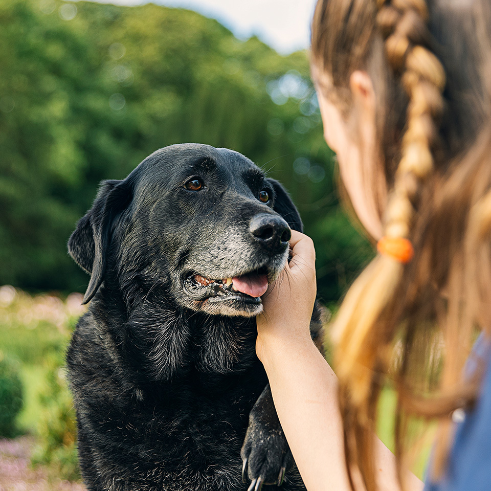 A woman affectionately pets a black dog.