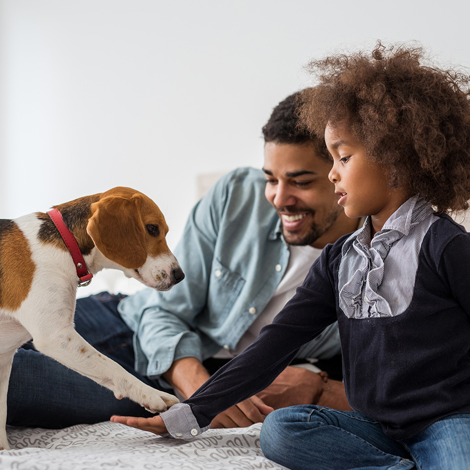 A happy family with a child and a dog enjoying quality time together.