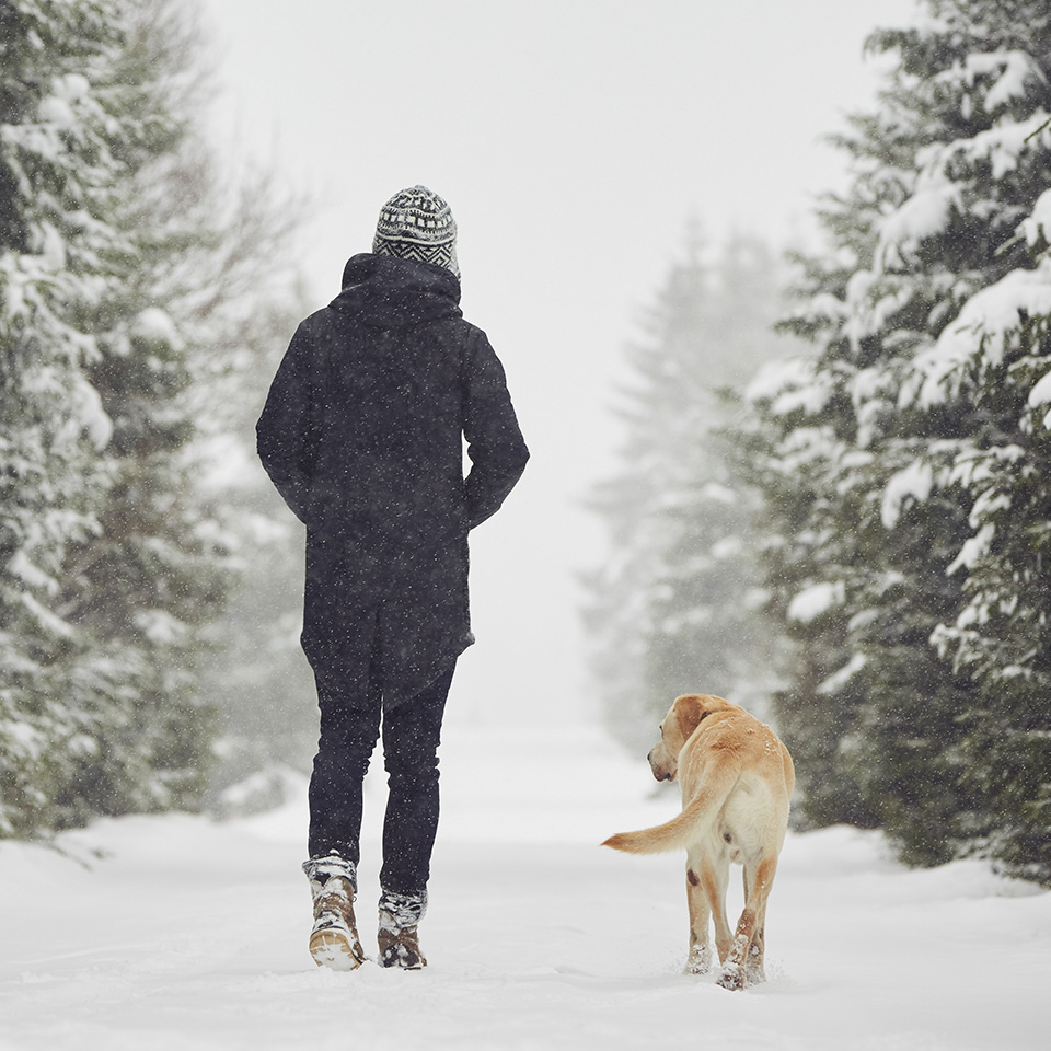 A man and his dog walking in the snow.