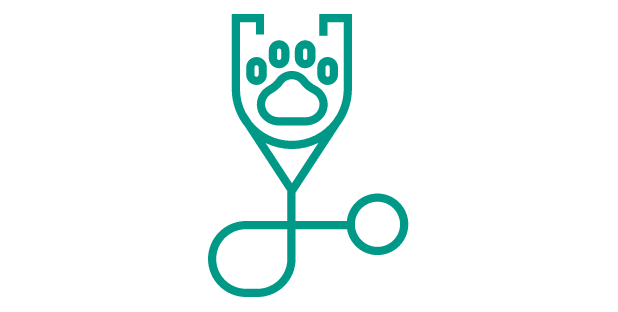 Icon of a paw in a stethoscope 