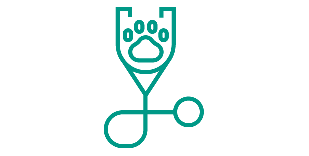 Icon of a paw in a stethoscope