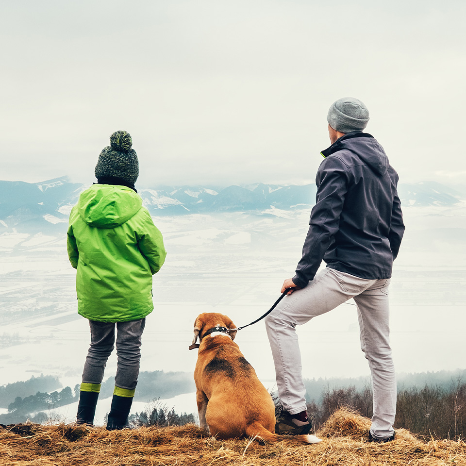 Two people and a dog standing on a hill, enjoying the scenic view.