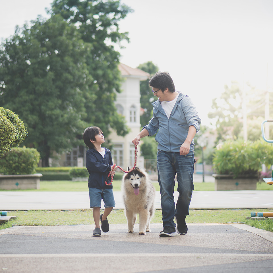 Father and son enjoying a stroll with their dog.