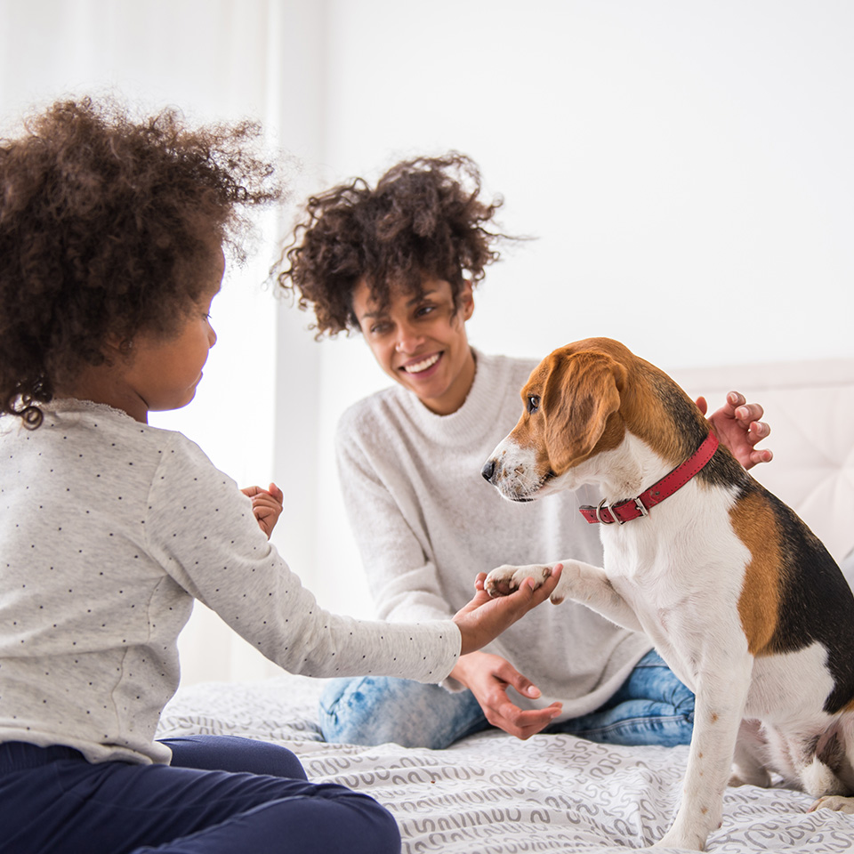 Woman and her kid happily playing with a dog on a bed.