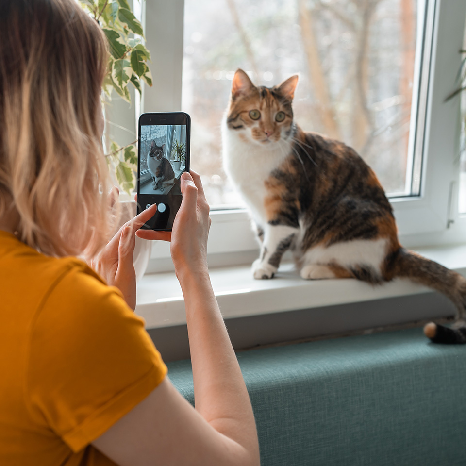 Woman capturing a photo of her cat on a smartphone.