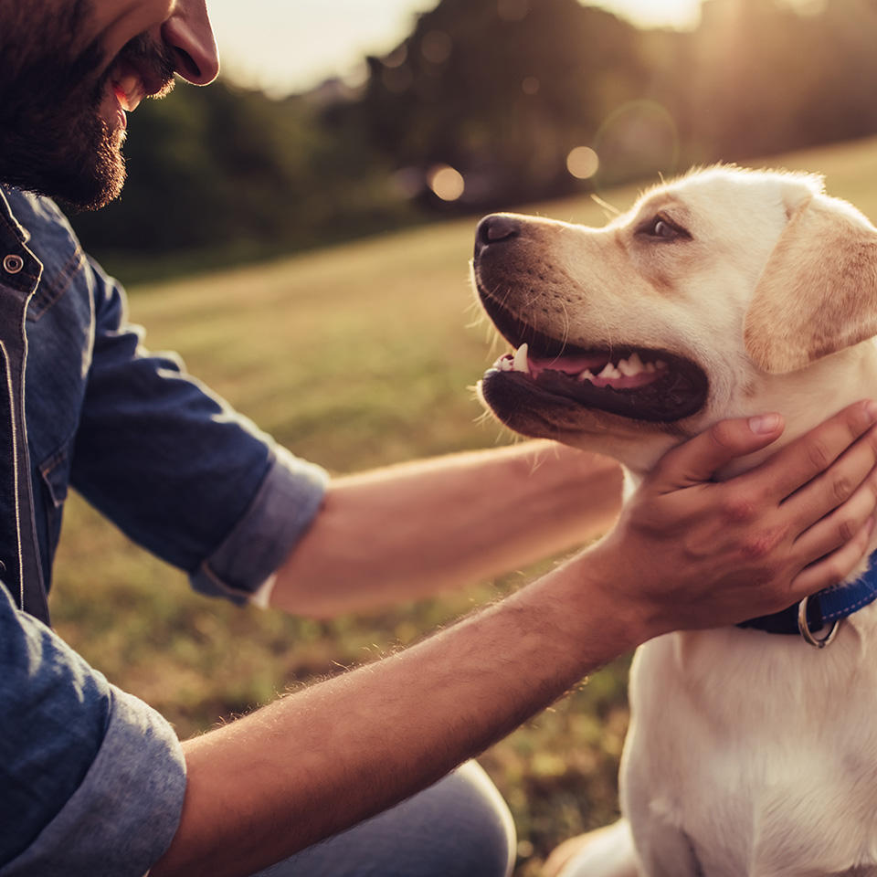 a man kneeling in the grass petting a dog