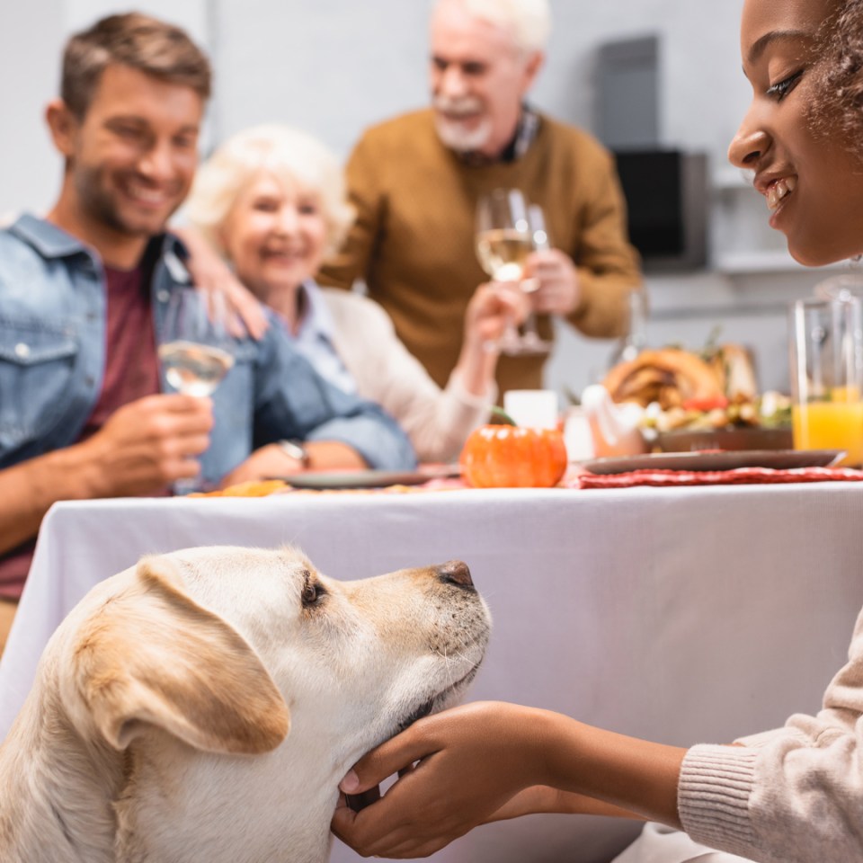 A woman affectionately pets a dog under a dinner table surrounded by people.