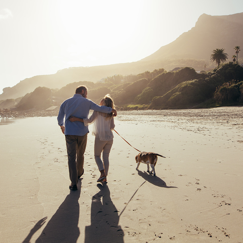 A couple strolling along the shore with their dog, enjoying a peaceful walk on the beach.