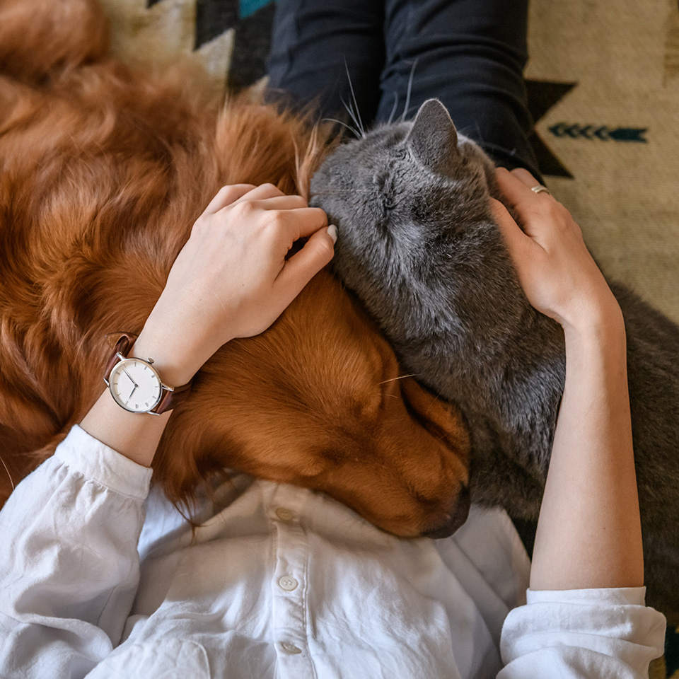 A woman holding a cat and a dog in her arms.