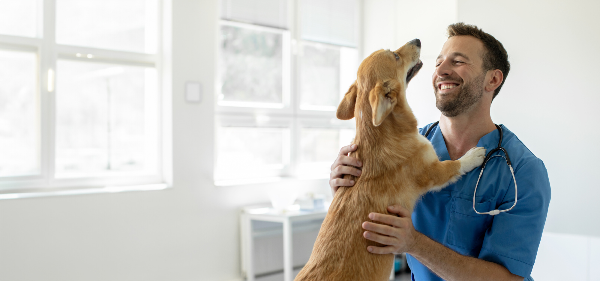 A mal veterinarian having fun with a dog