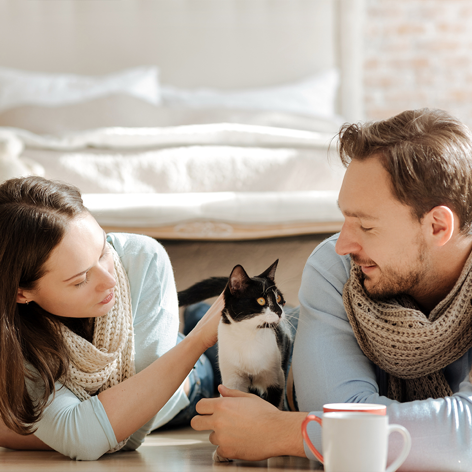 A couple lying on the hardwood floor and petting their cat