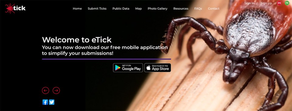 Image representing the e-tick website