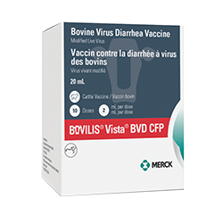 Vista BVD CFP packaging