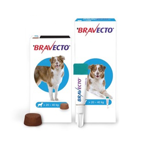 Packagings of Bravecto with chewable tablet and topical solution.