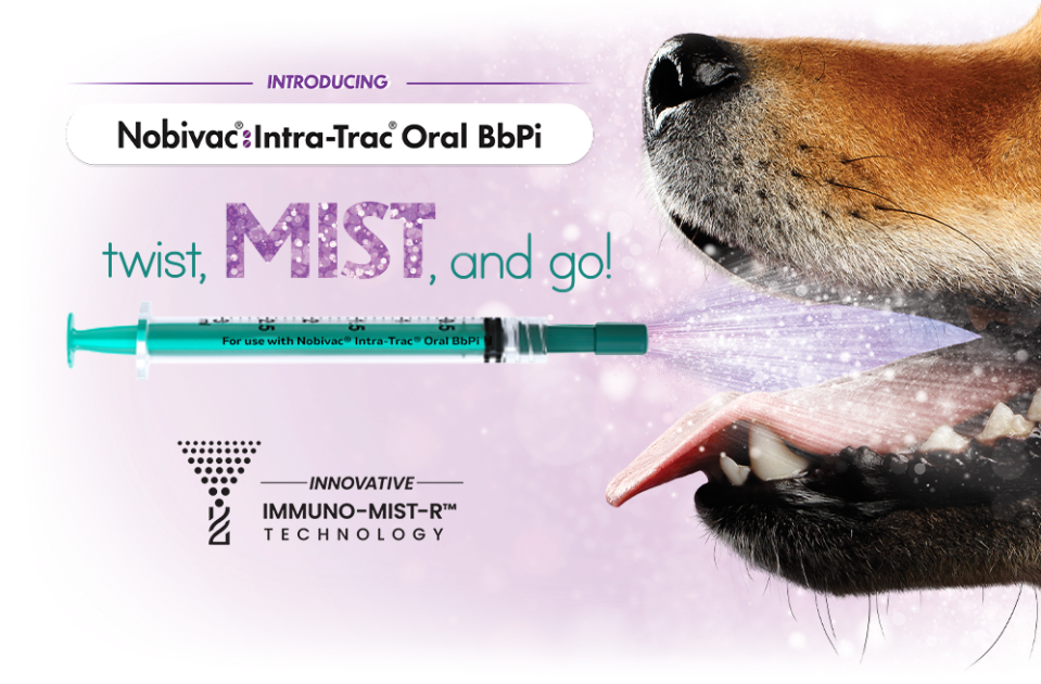 Representation of the use of nobivac intra-trac oral bbpi syringe in a dog mouth, the text says :
Twist, mist and go!