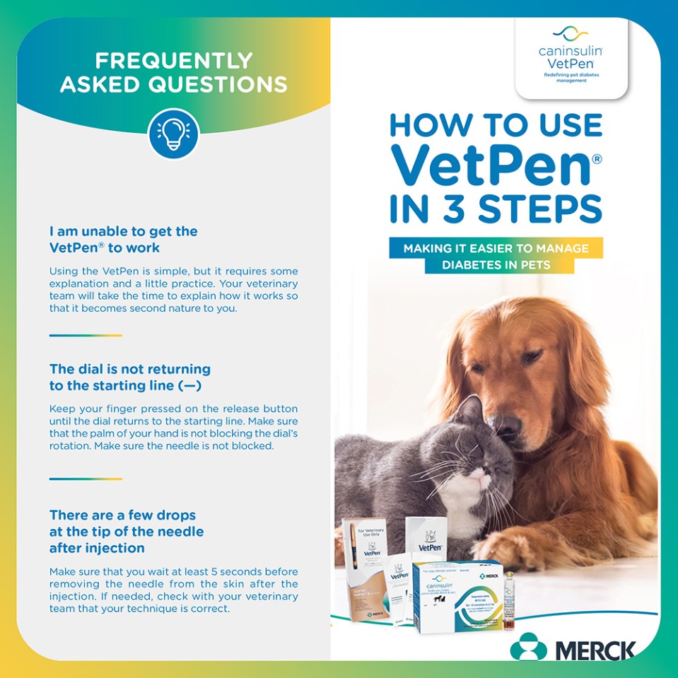 VetPen is redefining pet diabetes management. Learn how to use it in 3 easy steps. Plus, download our app to manage your pet's diabetes.