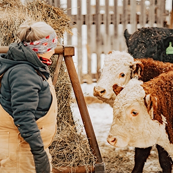 Lady standing next to a cow on a farm.