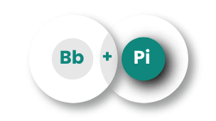 Logo representing "Bb" and "Pi"