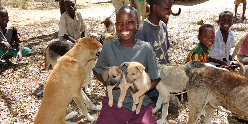 A boy gently holds a small puppy in his arms