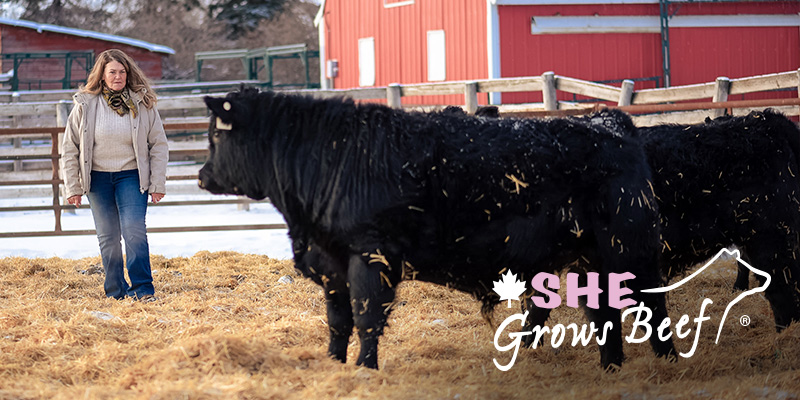 A woman with cattles with "She Grow Beef" logo