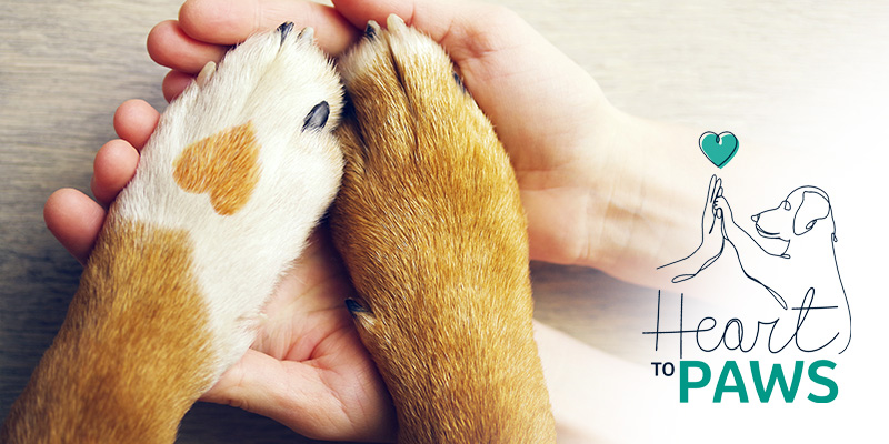 Hands and paws together with the heart to paws logo